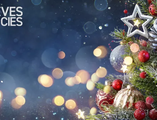 Season’s Greetings and Happy New Year from Steeves Agencies!